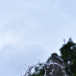 London/Leicester Square/DSC_3100.JPG